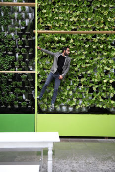 La arquitectura sustentable y sus beneficios a la Ciudad de México | MUPA Urbanismo