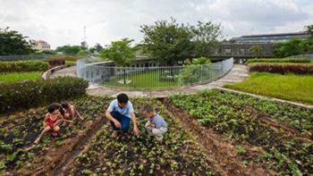 Educación infantil en urbanidad sustentable | MUPA, equipamiento y diseño de mobiliario urbano